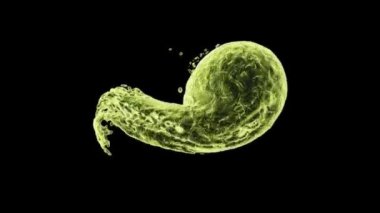 Soyut açık yeşil sıvı sıçraması ve dönen top oluşturan, siyah arka plan üzerinde izole