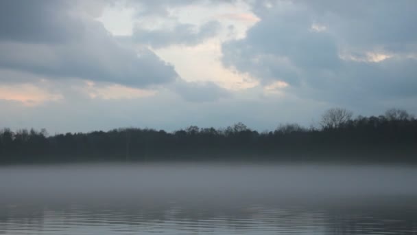 Scène Nature Épique Rivière Brumeuse Forêt Avec Ciel Dramatique Dans — Video