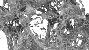 Sıvı metal beyaz arka plan üzerinde izole, ekrana yavaş hareket sıçramaları