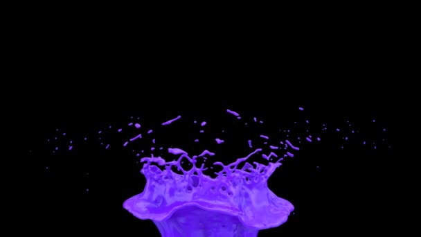 Salpicadura Pintura Púrpura Cámara Lenta Aislada Negro — Vídeos de Stock