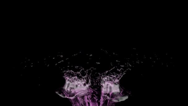 Splash Pink Water Slow Motion Isolated Black — Stock Video