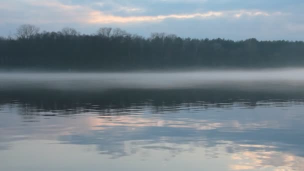 Όμορφη Φύση Σκηνή Της Ομίχλη Στο Ποτάμι Βράδυ — Αρχείο Βίντεο