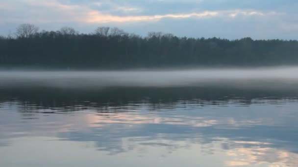 Prachtige Natuur Scène Van Mistig Riverside Avond — Stockvideo