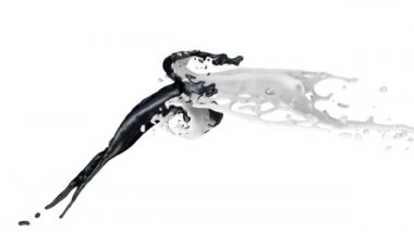 Siyah ve beyaz renk sıçramaları yavaş çekimde çarpışır, beyaz arka planda izole. 