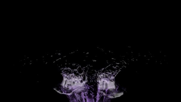 Splash Van Violet Water Slow Motion Geïsoleerd Zwart — Stockvideo