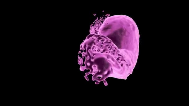 Pink Glowing Liquid Splashes Abstract Keeps Rotating Isolated Black Background — Stock Video