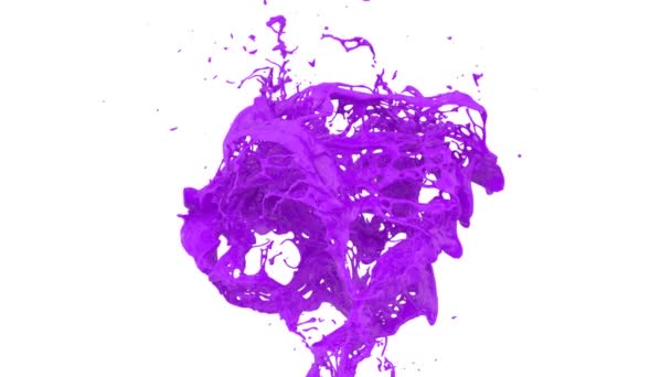 Peinture Violette Éclaboussant Ralenti Isolée Sur Fond Blanc — Video