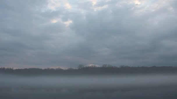 Scena Naturii Epice Ceață Densă Cer Dramatic Peste Râu Pădure — Videoclip de stoc