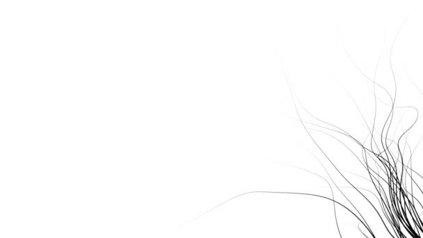 白に黒のミニマリストグラフィックスタイルで抽象的な自然の背景 — ストック動画