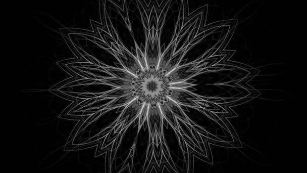 Zwart Witte Achtergrond Van Complexe Bloemen Mandala Patroon — Stockvideo