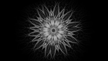 Güzel mandala büyüyen ve değişen - sorunsuz döngü