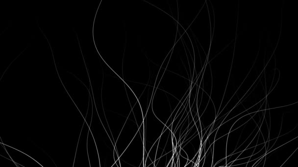 Fondo Gráfico Estilo Naturaleza Abstracta Blanco Sobre Negro — Vídeos de Stock