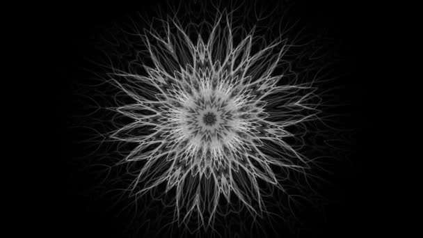 Bellissimo Mandala Che Cresce Cambia Loop Senza Soluzione Continuità — Video Stock