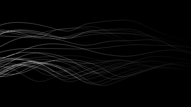 Абстрактний Фон Тонких Хвилястих Ліній Русі Білий Чорному — стокове відео