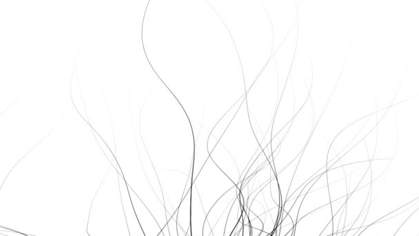 Fondo Naturaleza Abstracta Estilo Gráfico Minimalista Negro Sobre Blanco — Vídeos de Stock