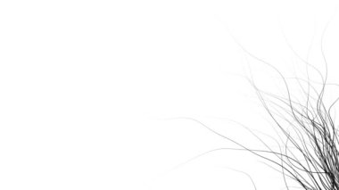 Minimalist grafik stilinde soyut doğa arka planı beyaz üzerine siyah