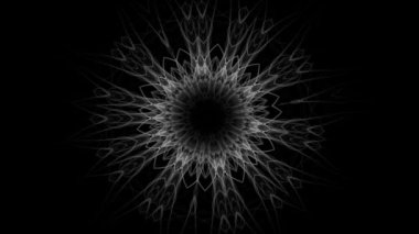 Güzel çiçek mandala ile siyah beyaz arka plan - sorunsuz döngü.