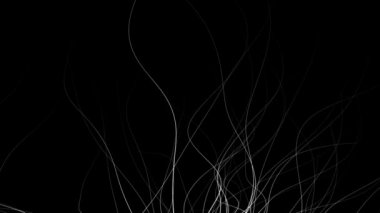 Soyut doğa stilinde grafik arka plan - siyah beyaz