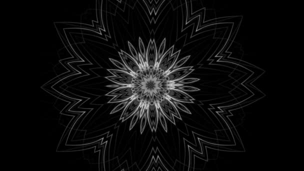 神秘的花卉曼陀罗的黑白背景 — 图库视频影像