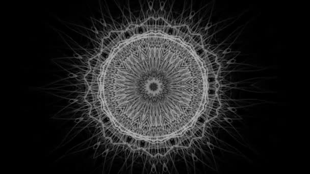 复杂的花卉装饰无缝循环 隔离在黑色背景 — 图库视频影像