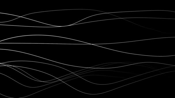 Close View Flowing Lines Dynamic Wave Motion White Black — Stock Video