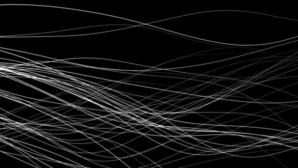 抽象的な自然スタイルのグラフィック背景 黒の白 — ストック動画