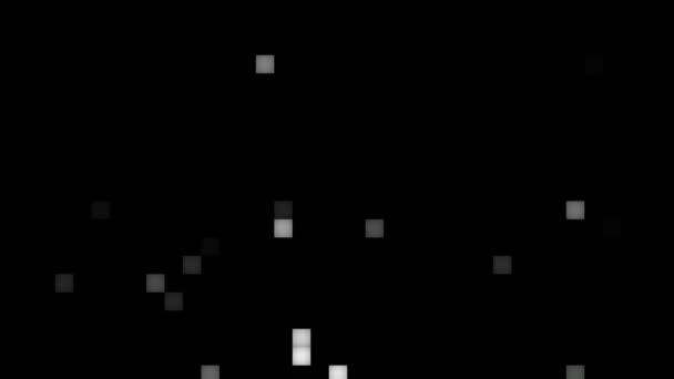 野生闪烁方块的抽象黑白背景 — 图库视频影像