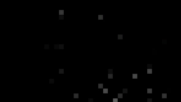 野生のフリック白い正方形の暗い背景 — ストック動画