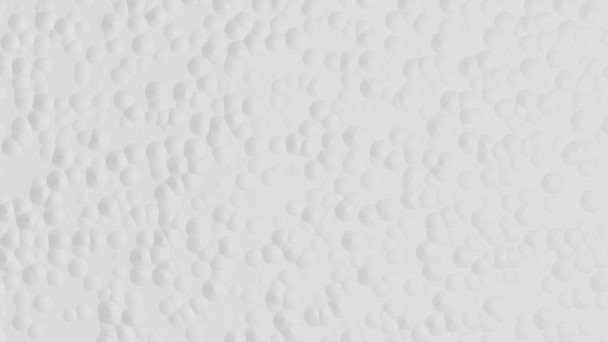 モーフィング気泡 シームレスなループを持つ白い背景 — ストック動画