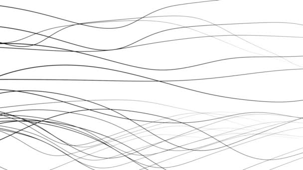 Grafisk Bakgrund Flödande Linjer Dynamic Wave Motion — Stockvideo