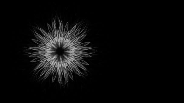 Karmaşık Grafik Çiçek Şık Arka Plan Siyah Izole — Stok video