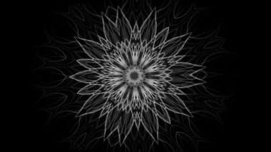 Güzel bir çiçek, sorunsuz döngü, siyah arka plan üzerinde izole mandala desen değiştirme