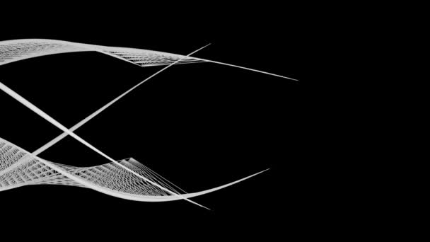 Black White Design Background Flowing Curved Structures Isolated Black — Stock Video