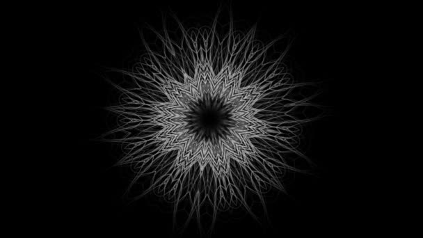 Sfondo Grafico Mandala Floreale Complesso Loop Senza Soluzione Continuità — Video Stock