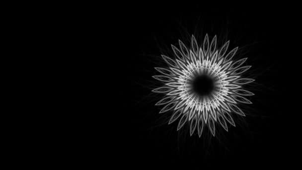 Karmaşık Grafik Çiçek Dikişsiz Arka Plan Siyah Izole — Stok video