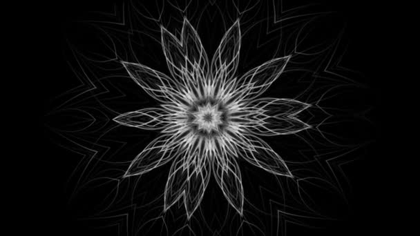 神秘花卉装饰图案的黑白背景 无缝循环 — 图库视频影像