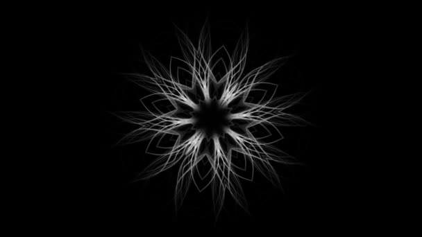 Fond moderne de fleur graphique, isolé sur noir 