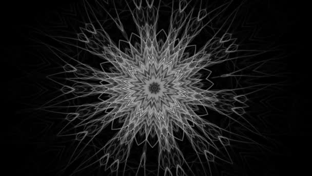 花のグラフィックパターンを持つ黒い白の背景 シームレスなループ — ストック動画