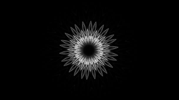 Sömlös Bakgrund Abstrakt Grafisk Blomma Isolerad Svart — Stockvideo