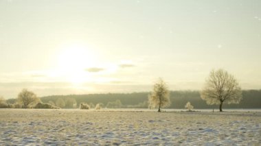 düşen kar ile güzel kış manzara manzara manzara
