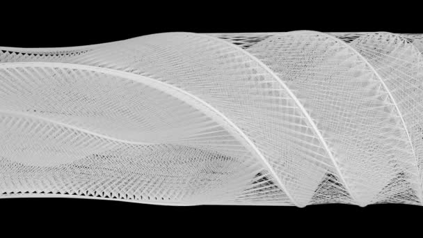Estrutura Complexa Linhas Brancas Fluindo Isoladas Fundo Preto — Vídeo de Stock
