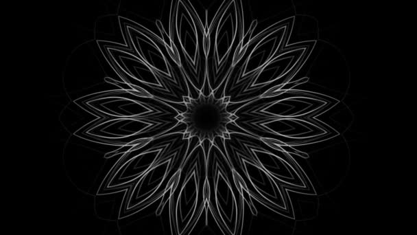 Абстрактный Фон Современного Графического Цветка Изолированного Черном — стоковое видео