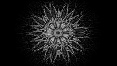 Değişen bir çiçek çiçeği güzel mandala, kesintisiz döngü, siyah arka plan üzerinde izole