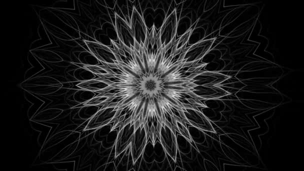 Mandala Complexe Motif Fleurs Mystiques Isolé Sur Fond Noir — Video