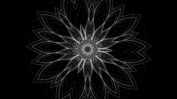 美丽的花卉曼陀罗图案的黑白背景 — 图库视频影像