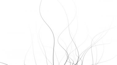 Minimalist grafik stilinde soyut doğa arka planı beyaz üzerine siyah