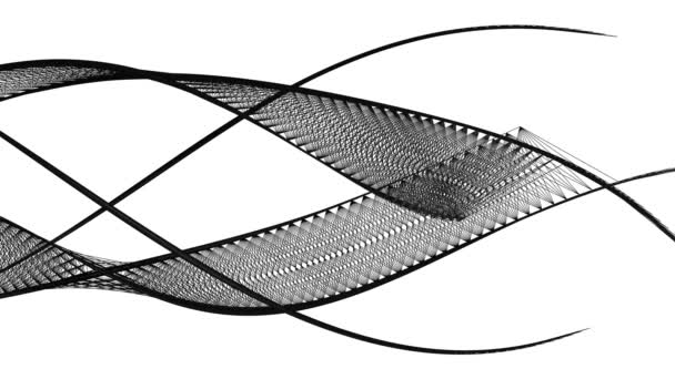 Абстрактный Дизайн Фоне Черных Изогнутых Линий Потоке Движения Белом Фоне — стоковое видео