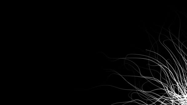 Fundal Grafic Stil Abstract Natură Alb Negru — Videoclip de stoc