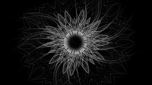 Μαύρο Λευκό Φόντο Της Άγριας Floral Μοτίβο Απρόσκοπτη Βρόχο — Αρχείο Βίντεο