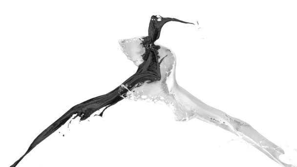 白い背景に隔離されたスローモーションで衝突する黒と白の色のスプラッシュ — ストック動画
